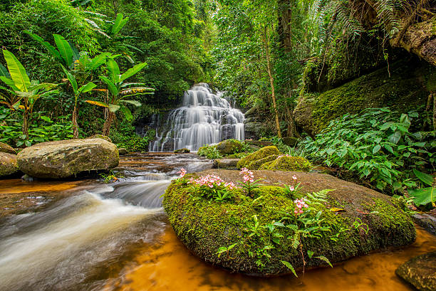 istock Mun-Dang's waterfall with antirrhinum flower 576909436