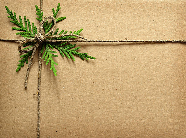 Cardboard tied with green twigs and rope. Brown cardboard tied with green twigs and rope. Chrisrmas present. wrapping paper photos stock pictures, royalty-free photos & images