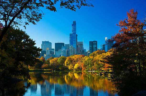 istock Central Park at Autumn Scene Framed with Trees and Lake 576911402