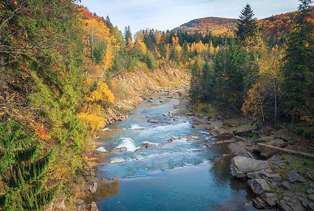 istock beautiful fast mountain river in autumn forest 576914002
