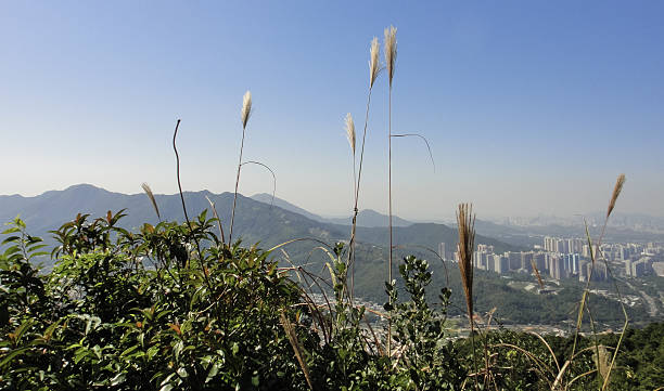 istock Hong Kong nature. Mountains, hills and peaks 576915064