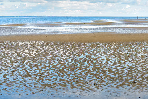 istock Dutch estuary at low tide 576915598