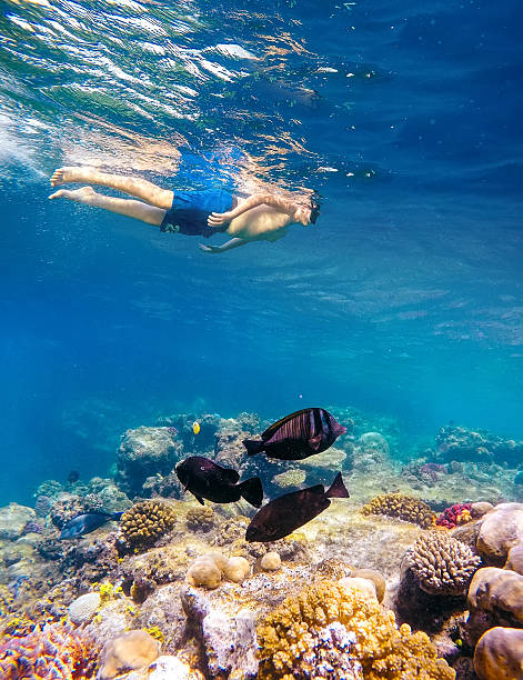 underwater shoot of a young boy snorkeling in red sea - safaga imagens e fotografias de stock