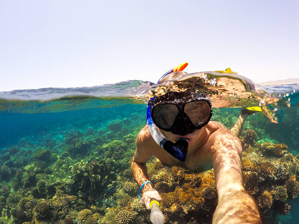istock Snorkel swims in shallow water, Red Sea, Egypt 576916370