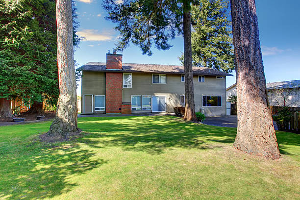 istock Green backyard garden with trees and well kept lawn. 576917100