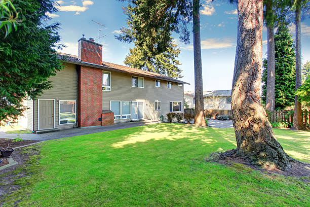 istock Green backyard garden with trees and well kept lawn. 576917210