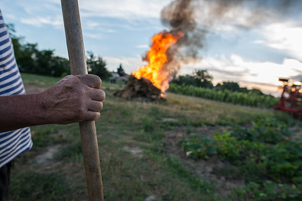 istock farmer hand, Wooden camp fire on the background 576918228