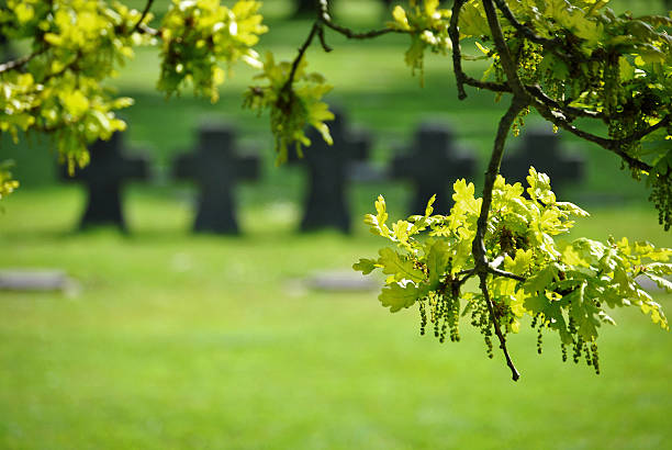 istock La Cambe German war cemetery 576919218