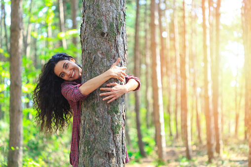 Playful young woman embracing a tree in the forest. Standing and looking at camera. Trees and sunbeam on background.