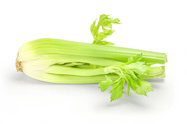 istock fresh green celery isolated on white background with clipping path 576923376
