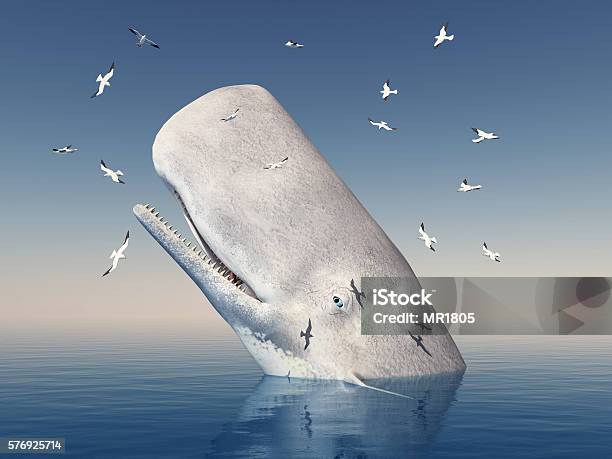 Photo libre de droit de Mocha Dick Et Mouettes banque d'images et plus d'images libres de droit de Baleine blanche - Baleine blanche, Baleine, Bleu