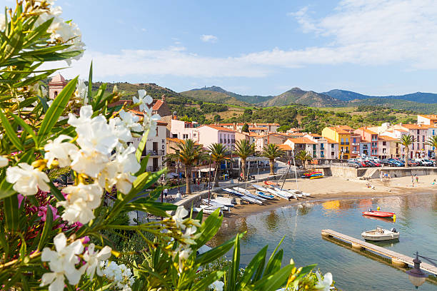 collioure, francja - single flower sailboat harbor pier zdjęcia i obrazy z banku zdjęć