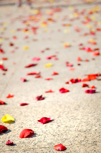 istock Red and yellow rose petals on floor after wedding ceremony. 576928094