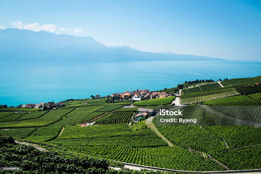 Vineyards of the Lavaux region over lake Leman Vineyards of the Lavaux region over lake Leman (lake of Geneva) Agricultural Field Stock Photo