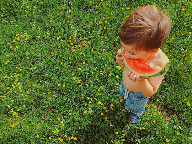 소년만 워터멜론 야외 식사 - watermelon missing bite melon grass 뉴스 사진 이미지