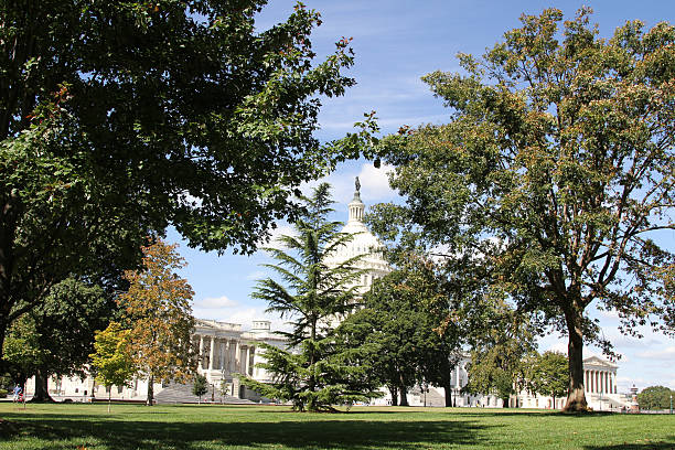 istock US Capitol Building, Washington DC, USA 576931772