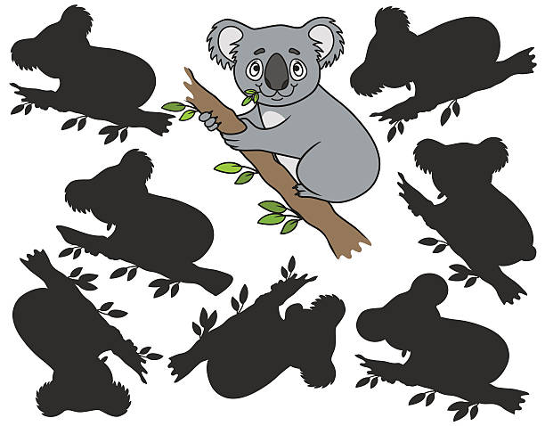 мультяшный коала - koala stock illustrations