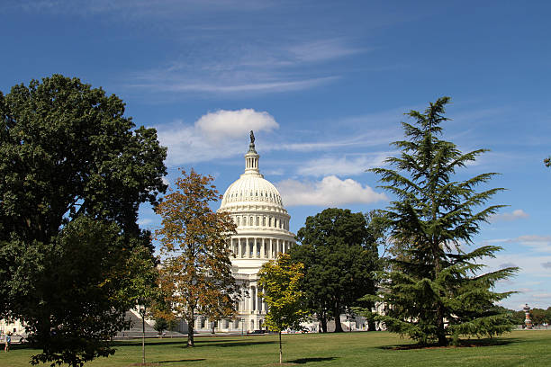 istock US Capitol Building, Washington DC, USA 576931818