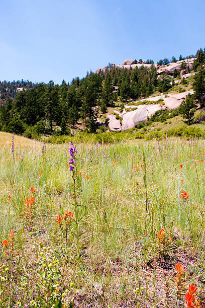istock Dome Rock State Wildlife Area 576932628
