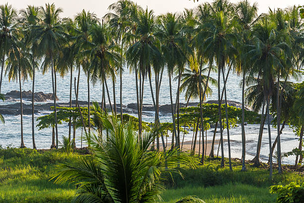 Playa hermosa en Costa Rica - pacific coast - wild beach with rainforest