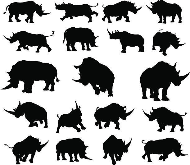 Rhino Animal Silhouettes A set of rhino or rhinoceros animal Silhouettes safari animal clipart stock illustrations