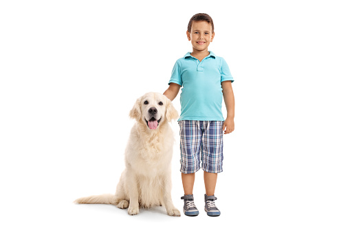 Cute little boy posing together with a young Labrador retriever dog isolated on a white background