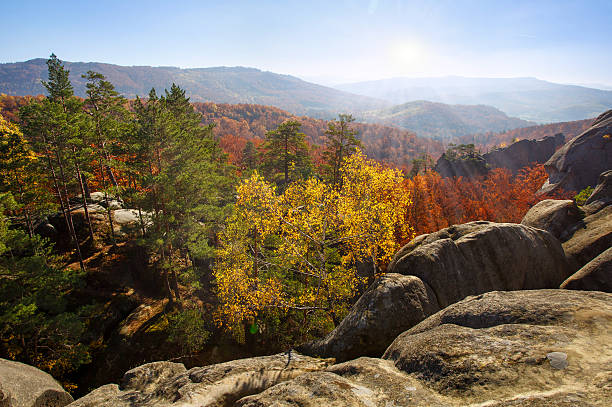 istock Colorful and bright autumn forest 576935834