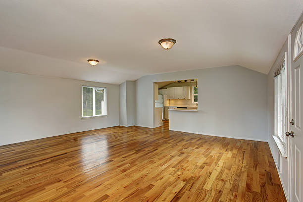 istock Empty hallway interior with white entrance door 576935842