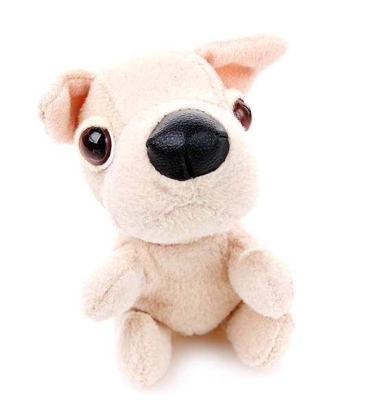istock Children toy,Soft teddy dog 576936350