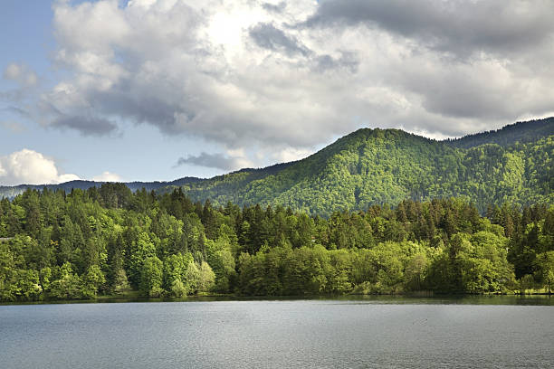 istock View of lake Bled. Slovenia 576938074