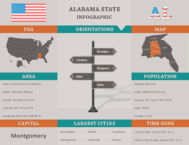 USA - Alabama state infographic template USA - Alabama state infographic template with area, population and orientations information included alabama state map with cities stock illustrations