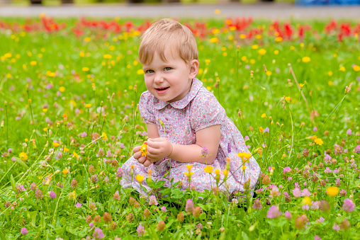 Caucasian seven month old baby sitting in a field