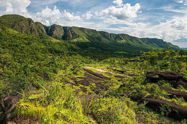 chapada dos veadeiros, goias, brésil - chilean culture chile forest the americas photos et images de collection