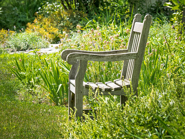 istock Old Wooden Chair in a Sunny Garden 577304820