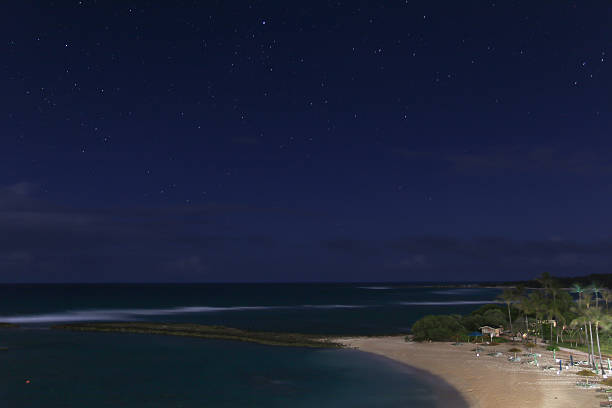 istock View of nice tropical beach with some palms and stars 577306534