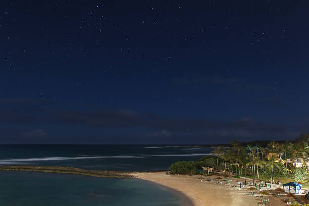 istock View of nice tropical beach with some palms and stars 577306572