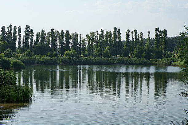 istock Park lake in the summer (landscape) 577306942