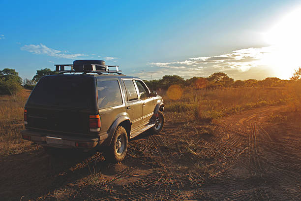 4x4 Off Road Car in Safari stock photo