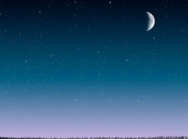 istock Beautiful starry sky with moon on a blue background with grass 577307398