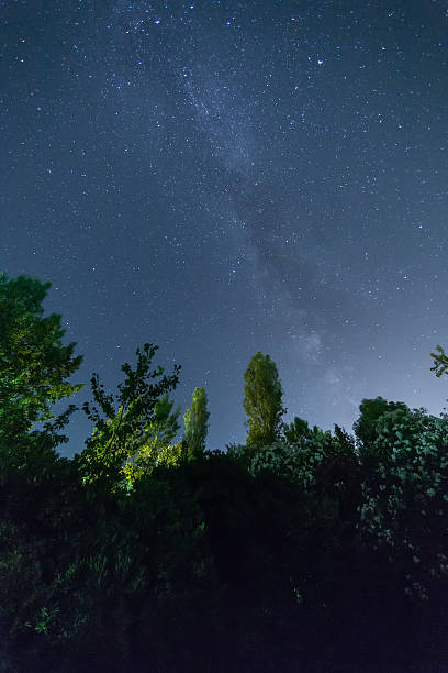 istock The starry sky and the Milky Way 577307514