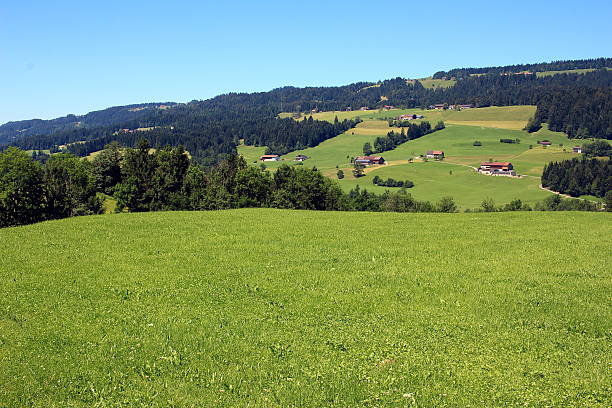 l'allgäu - bergwiese foto e immagini stock