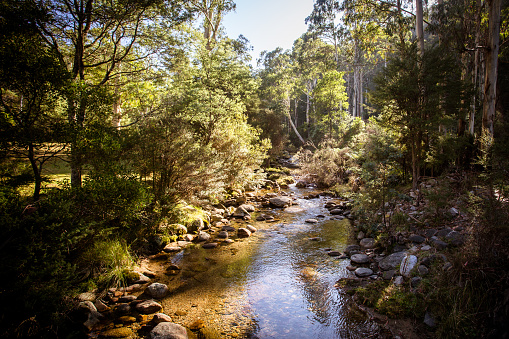 Leather Barrel Creek near Thredbo in New South Wales, Australia