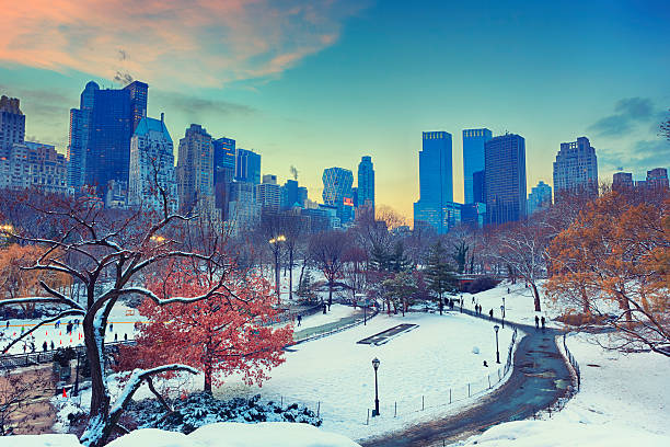 inverno a central park di new york - new york city new york state skyline winter foto e immagini stock