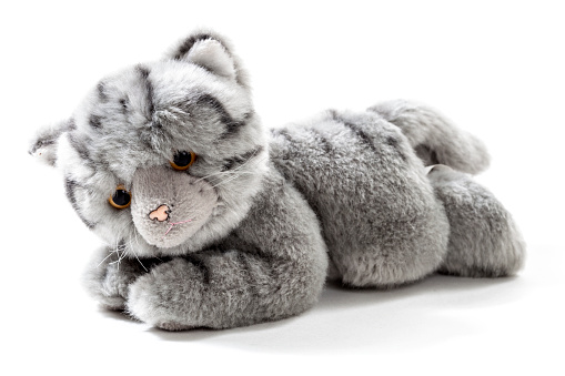 Stuffed animal grey cat isolated over white background