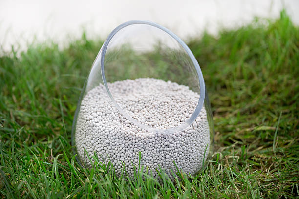 engrais minéral sur herbe - fertilizer nitrogen potassium particle photos et images de collection