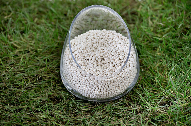 engrais minéral sur herbe - fertilizer nitrogen potassium particle photos et images de collection