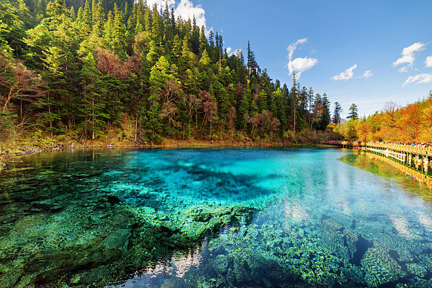 istock Amazing view of the Five Coloured Pool (the Colorful Pond) 577315204