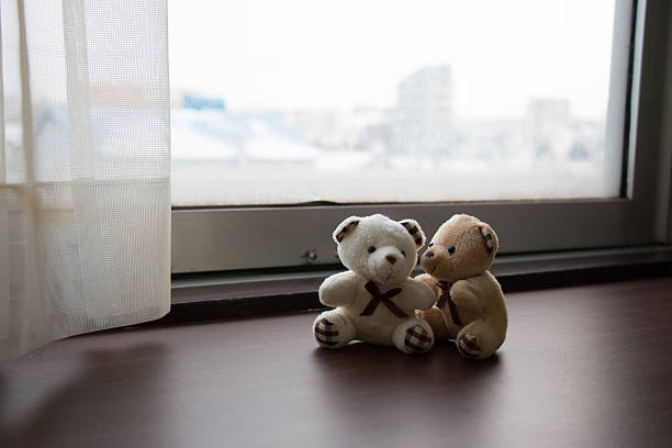 istock Lovely couple bear sit together look out window 577318812