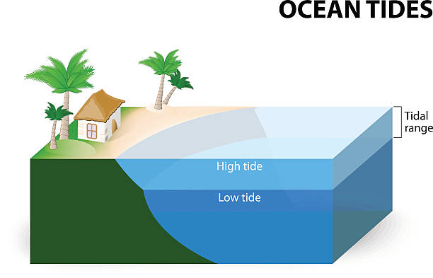 Ocean Tides Ocean Tides. Tidal Range. The tidal range is the difference in sea level between low tide and high tide low tide stock illustrations