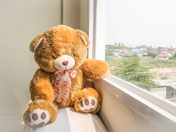 istock Brown bear sitting side of the window 577326926